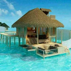 Meet your Posher, Gaynell